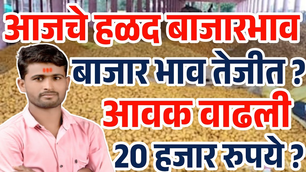 हळद बाजारभाव 20 हजार होणार ? | हळद बाजारभाव तेजीत ? | आजचे हळद बाजारभाव | turmeric rate today