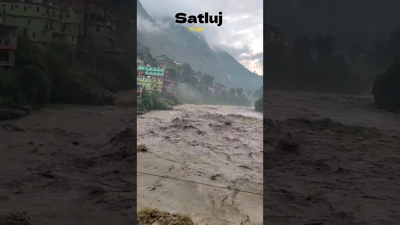 Satluj river 😨 Rampur Bushahr #ytshorts #rampurbushahr #satluj #river #flood #himachalpradesh