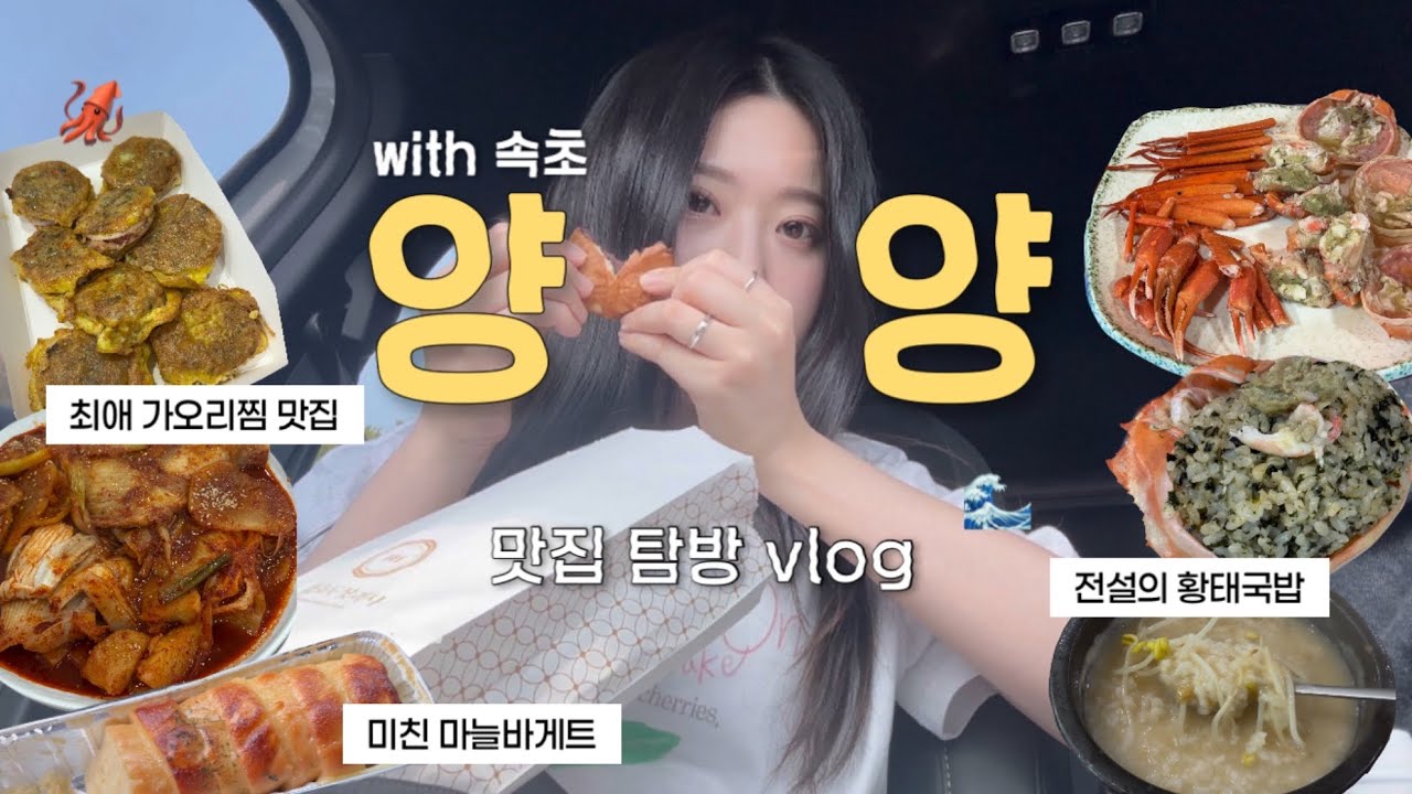 양양 여행 브이로그🌊 속초까지 알차게 찐맛집들만 털다 가기✨ 가오리찜, 오징어순대, 홍게, 황태국밥, 봉브레드 마늘바게트까지🤍