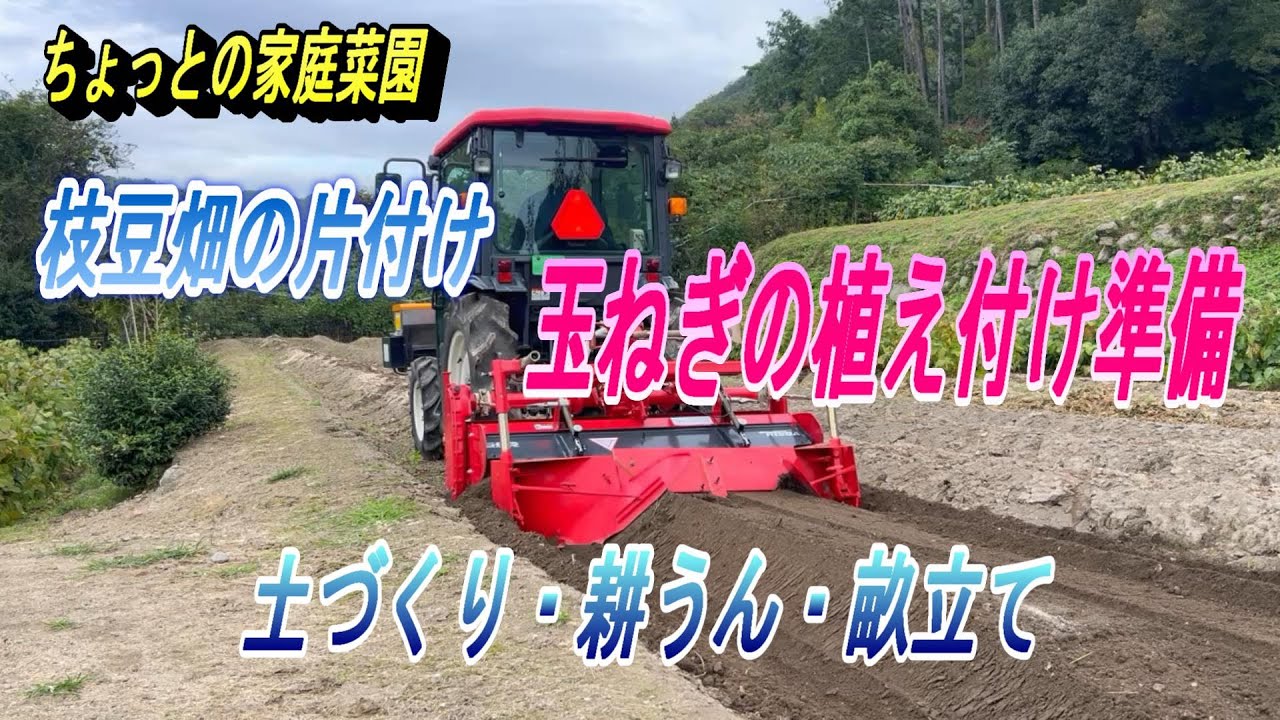 【ちょっとの家庭菜園】冬野菜の状況と、そろそろ玉ねぎの植え付け準備→土作り耕うん畝立て。