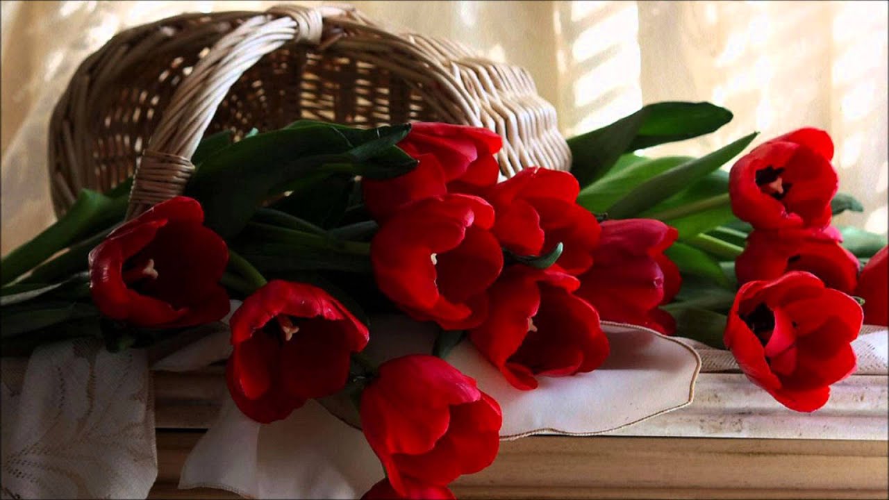 Umar Quinn-How To Deal With Women {In The View Of The Salaf}
