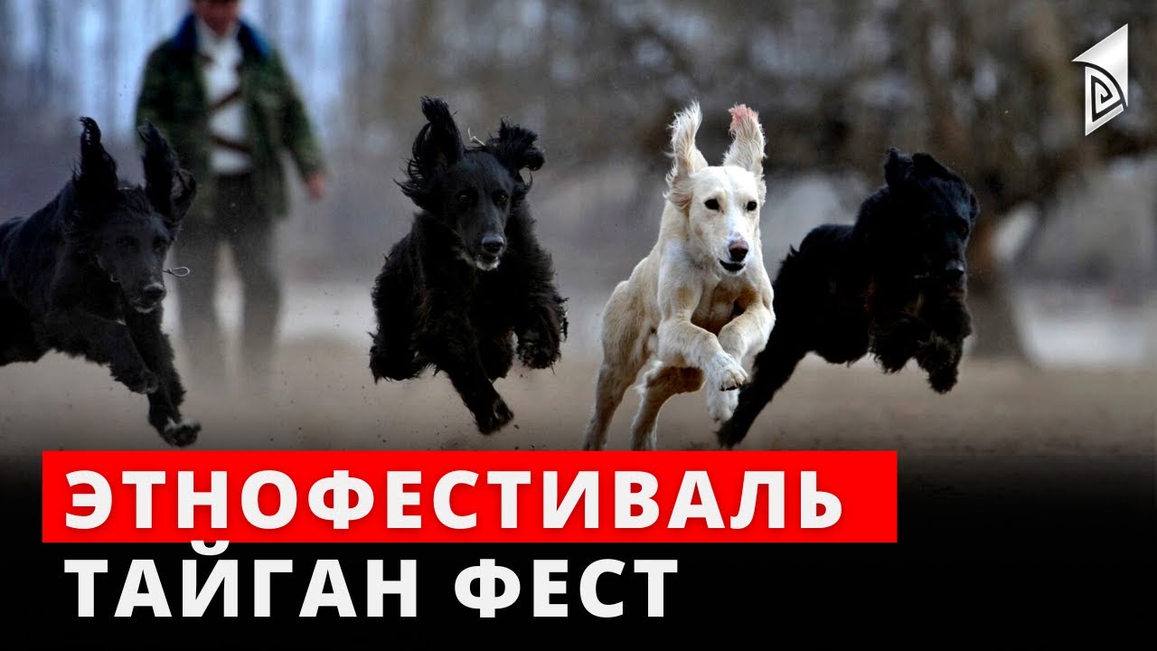 В Чуйской области пройдёт этнофестиваль тайган фест