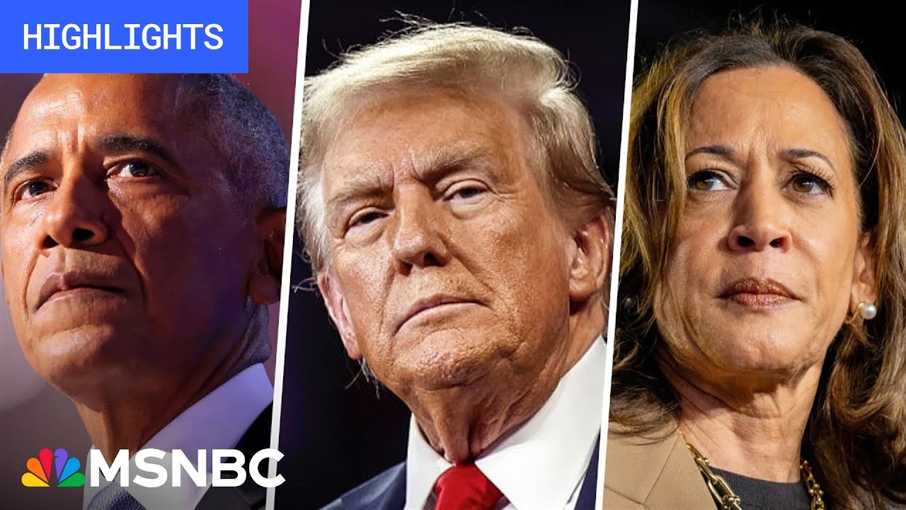 Countdown to the 2024 election: Day 23 | MSNBC Highlights