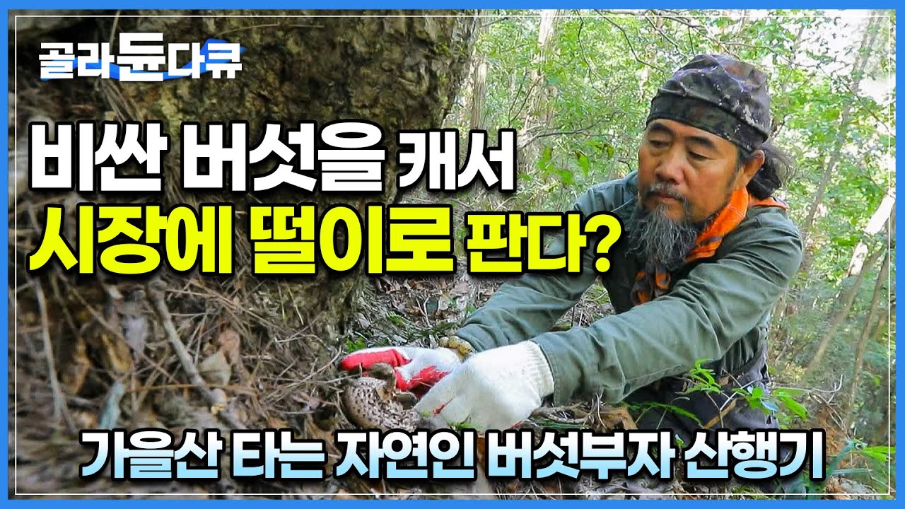 가을산에서 채취한 고가의 버섯들을 장터에 말도 안되는 가격에 파는 약초꾼│팔도 유랑하는 각설이에서 산 사나이가 된 남자│지리산에 정착한지 13년 된 자연인│한국기행│#골라듄다큐
