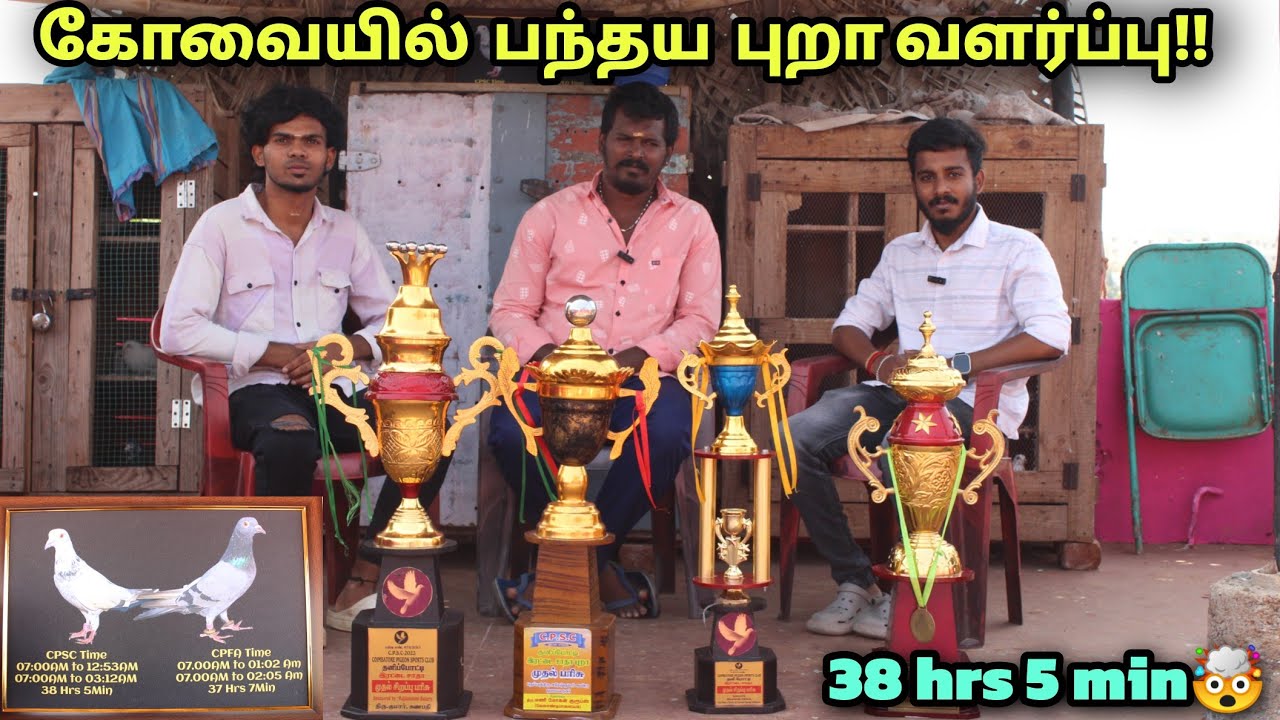 கோவை புறா பந்தயதில் முதல் பரிசு!! | Coimbatore racing pigeon tournament | Racing pigeon loft tamil |