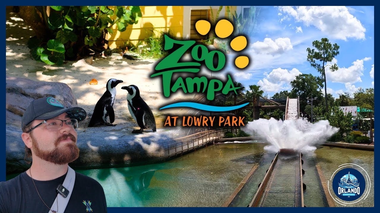 A Super Fun First Trip to ZooTampa! Animals, Rides and a Safari!