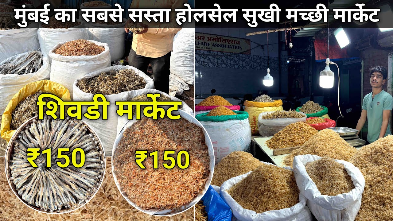 Sewri Dry Fish Market | Mumbai Dry Fish Market | Wholesale Dry Fish Market In Mumbai