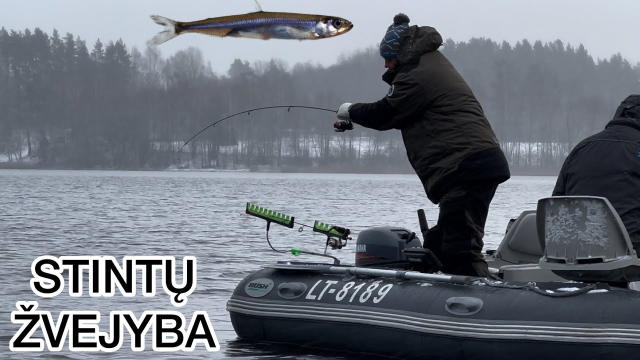 STINTŲ ŽVEJYBA 2023