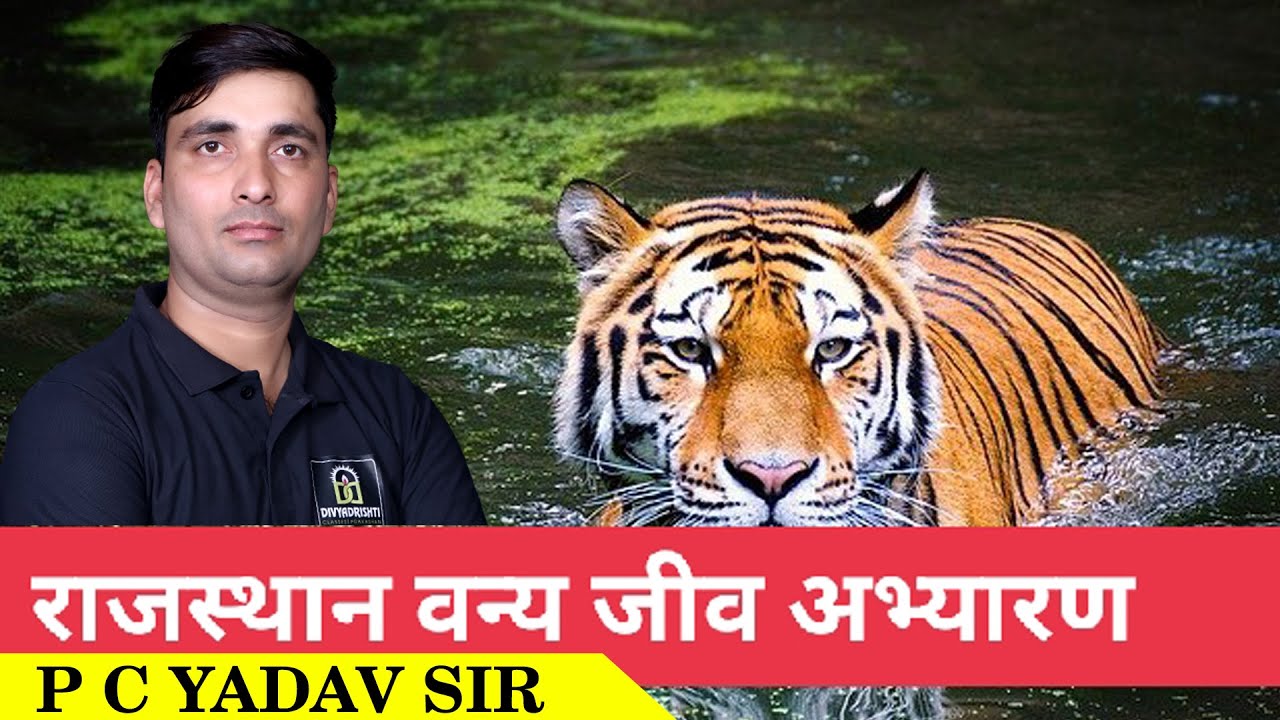 राजस्थान वन्य जीव एवं अभयारण्य | P C Yadav Sir | Divyadrishti Classes |