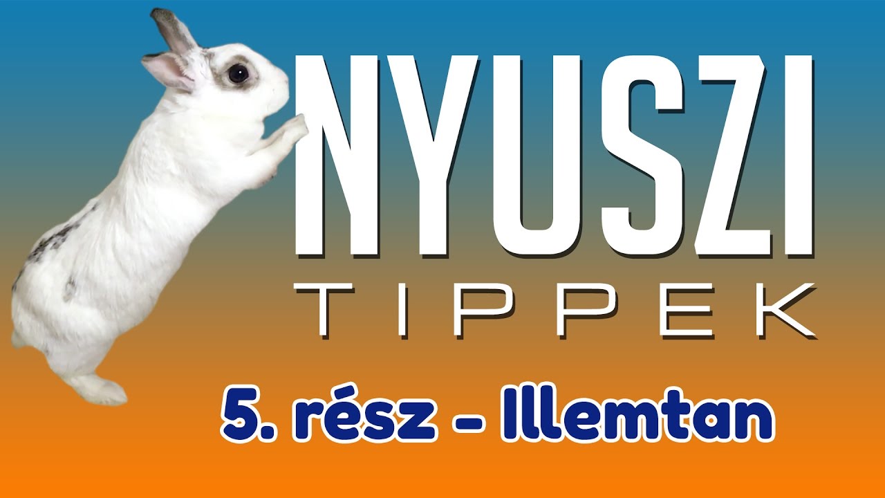 A NYÚL ILLEMTAN 7 SZABÁLYA | Nyuszi Tippek #5