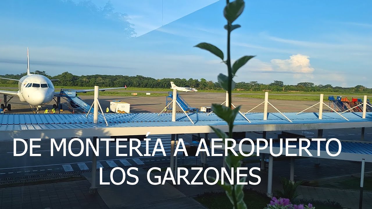 DE MONTERÍA A AEROPUERTO LOS GARZONES