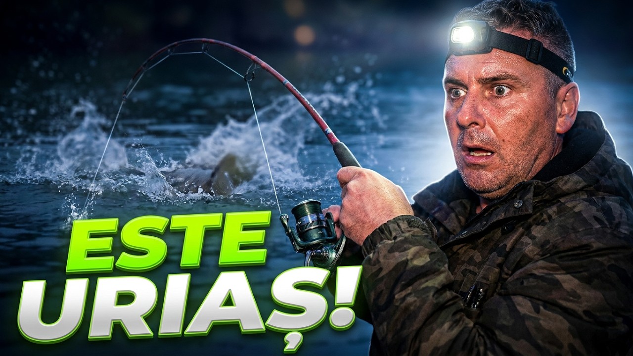 Am câștigat primul concurs de pescuit la crap din Delta Dunării! | Delta Carp Challenge 2025