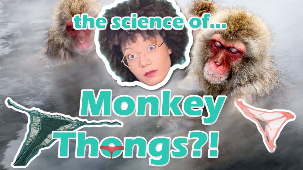 Monkey Thongs and Other Primate Oddities