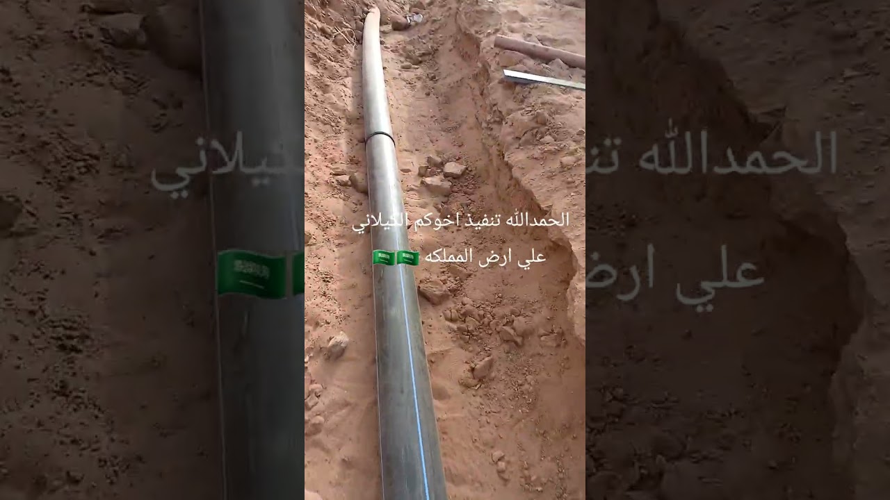 ١٥ فبراير ٢٠٢٦