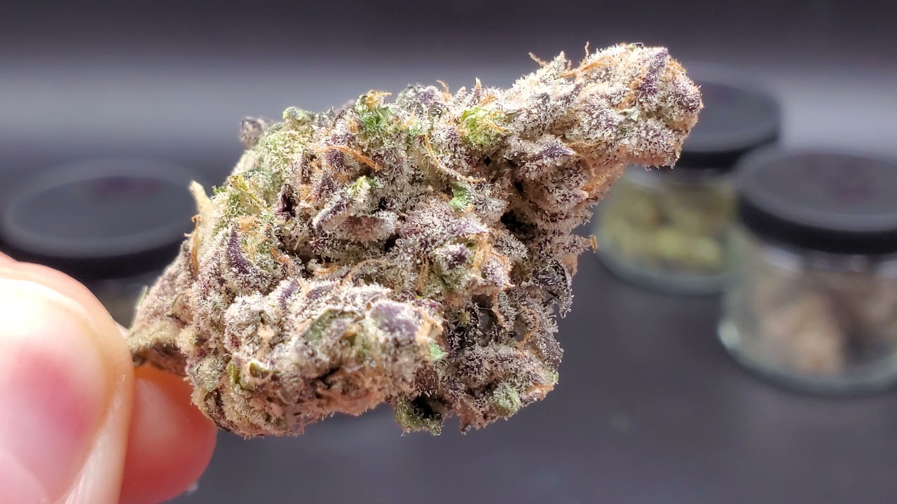 Rootbase- Slurricane IX Pheno Hunt- Inhouse Genetics