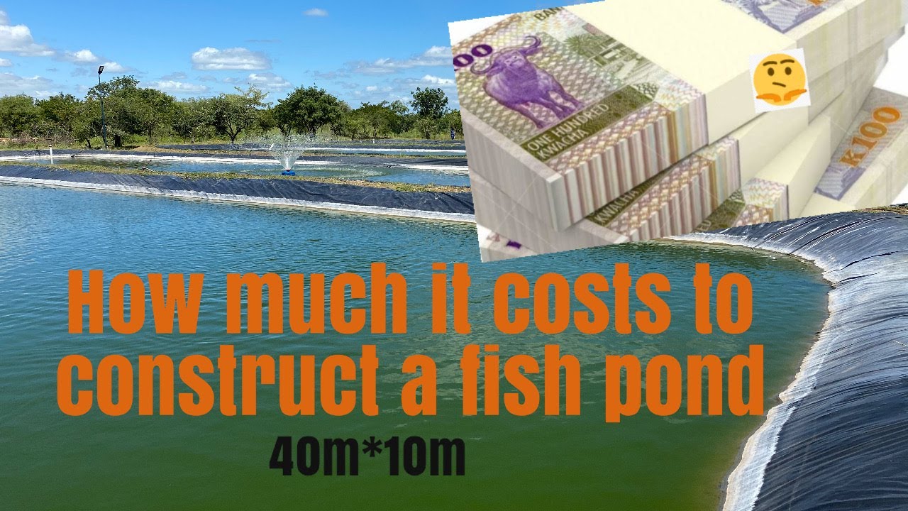 HOW MUCH DOES IT COST TO CONSTRUCT A 40M*10M FISH POND?