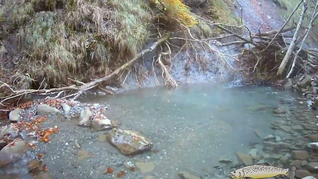 Pesca Trota torrente: la mia chiusura 2024