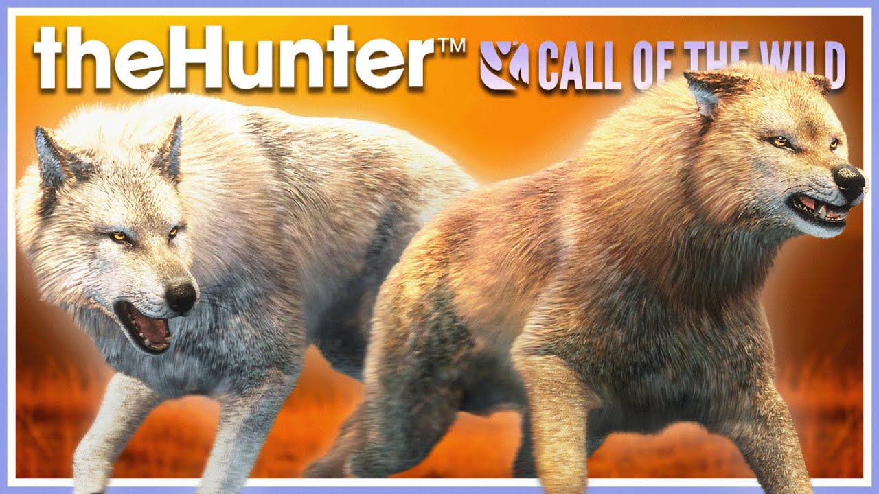 DOUBLE RARES and MORE! How I Grind for the GREAT ONE WOLF! | theHunter Call of the Wild