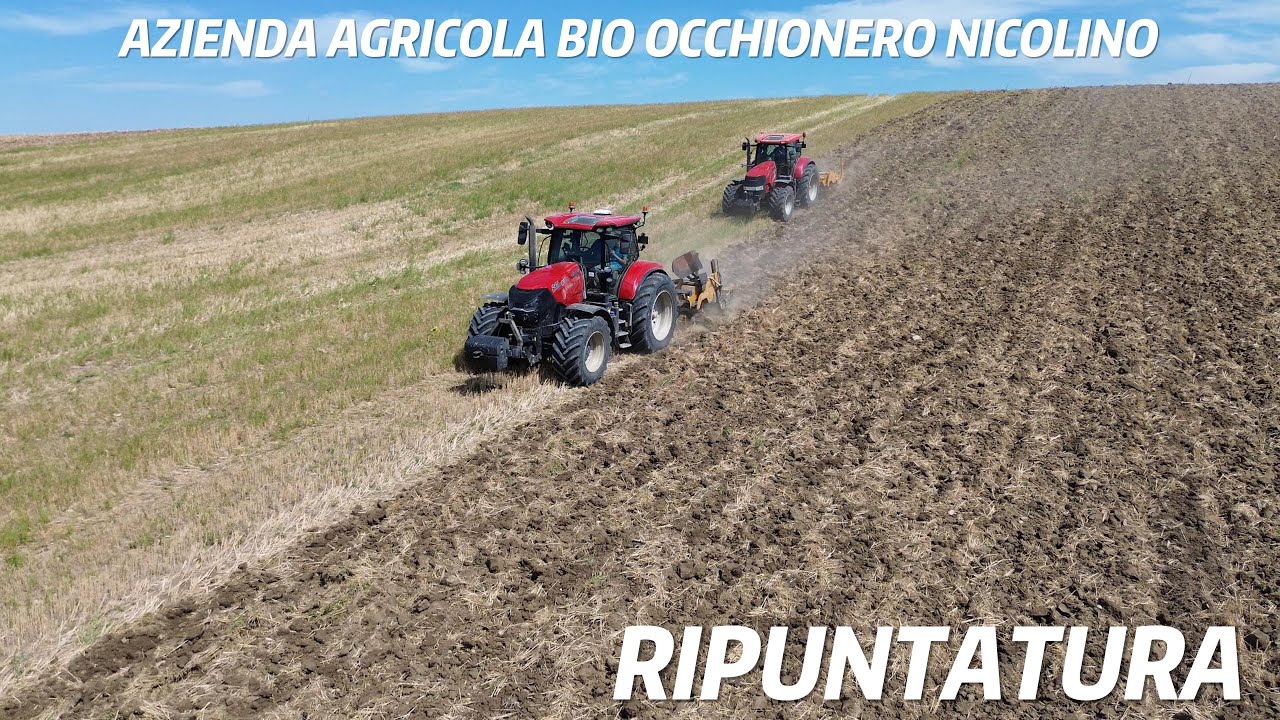 Case Puma 240 + Case puma 200-Azienda Agricola Bio Occhionero Nicolino