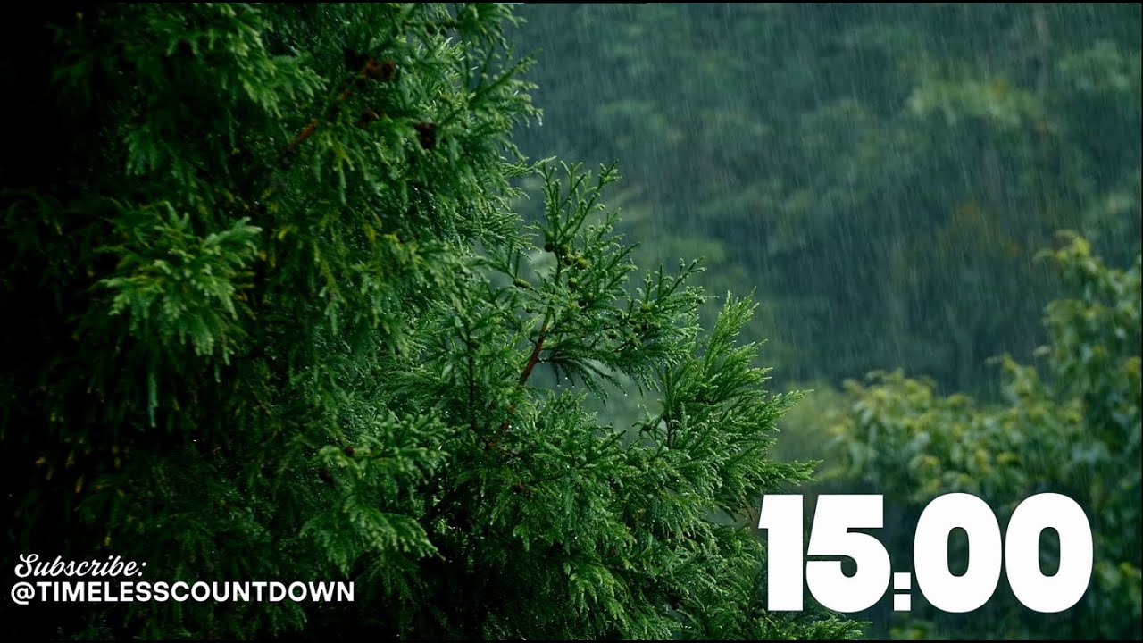 🌧️ 15-Minute Forest Rain Countdown | Relaxing Timer with Rain Sounds for Focus or Breaks