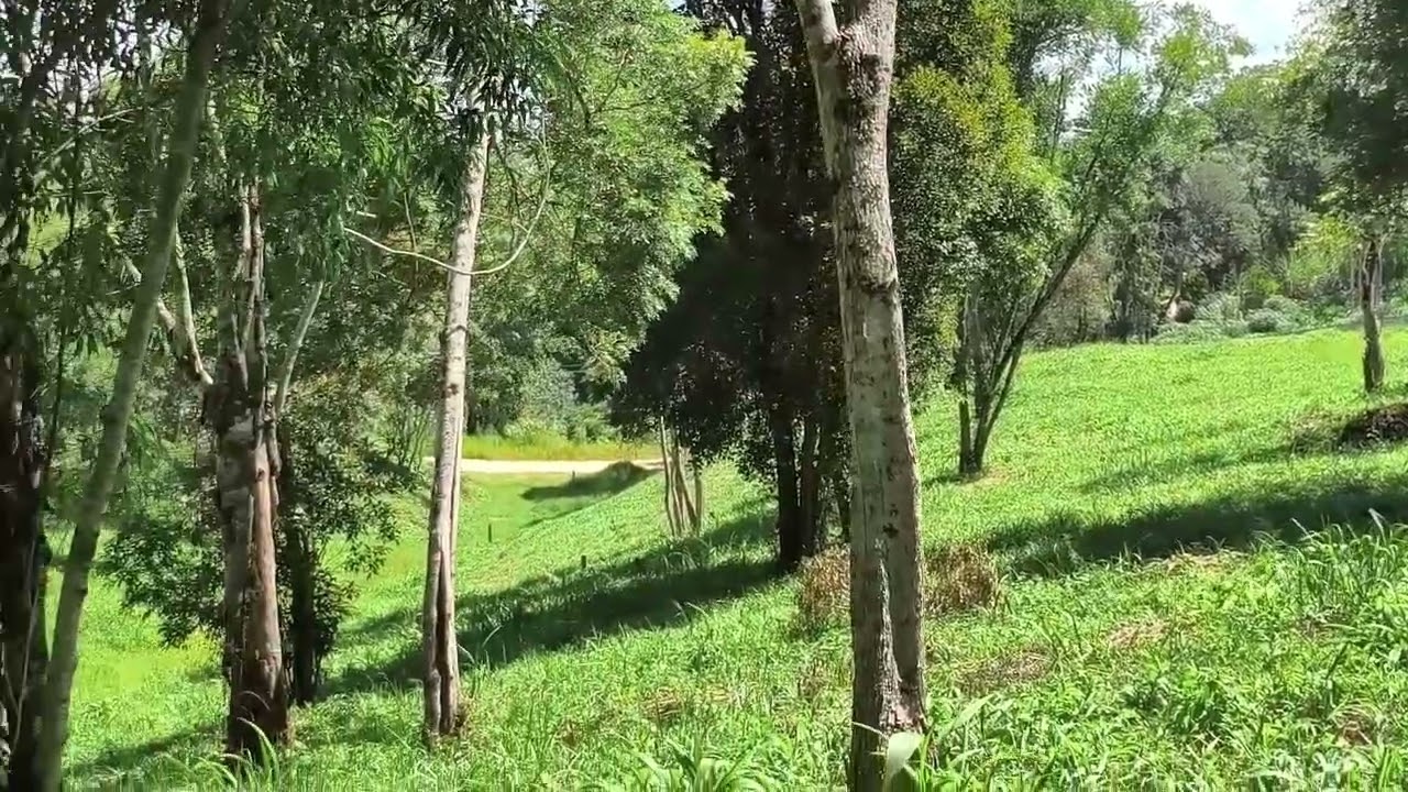 LINDA AREA, CPO MAGRO, 25.314,00 M2, PROJETO APROVADO COND DE 10 TERRENOS, MATRICULAS JÁ INDIVIDUAIS