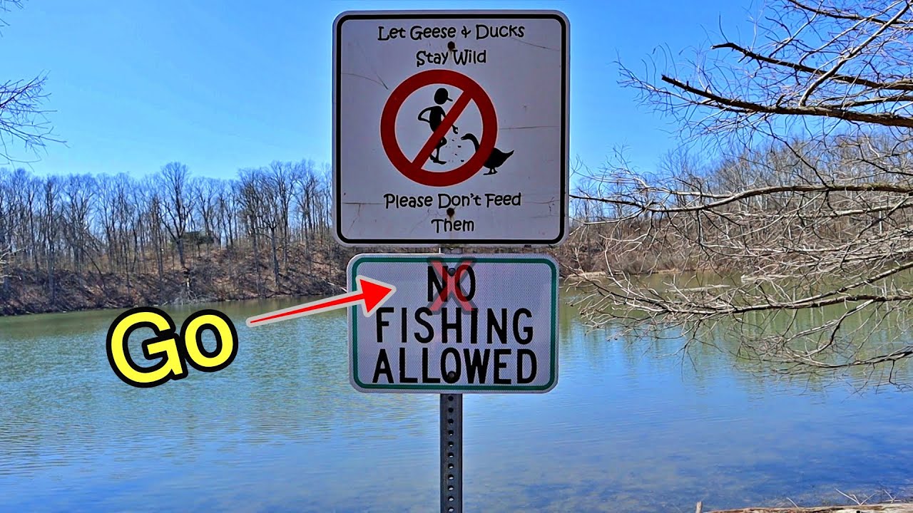 Carp fishing Springwood Park Richmond Indiana April 2020