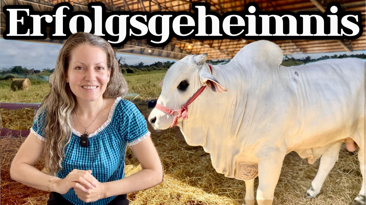 Warum Mennoniten zu den erfolgreichsten Farmern gehören