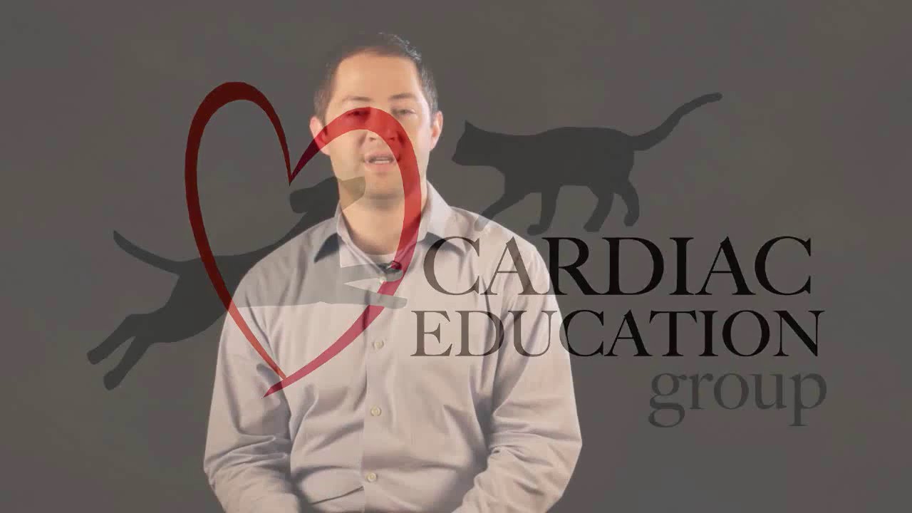 Dr. Brian A Scansen - Evaluating Heart Murmurs