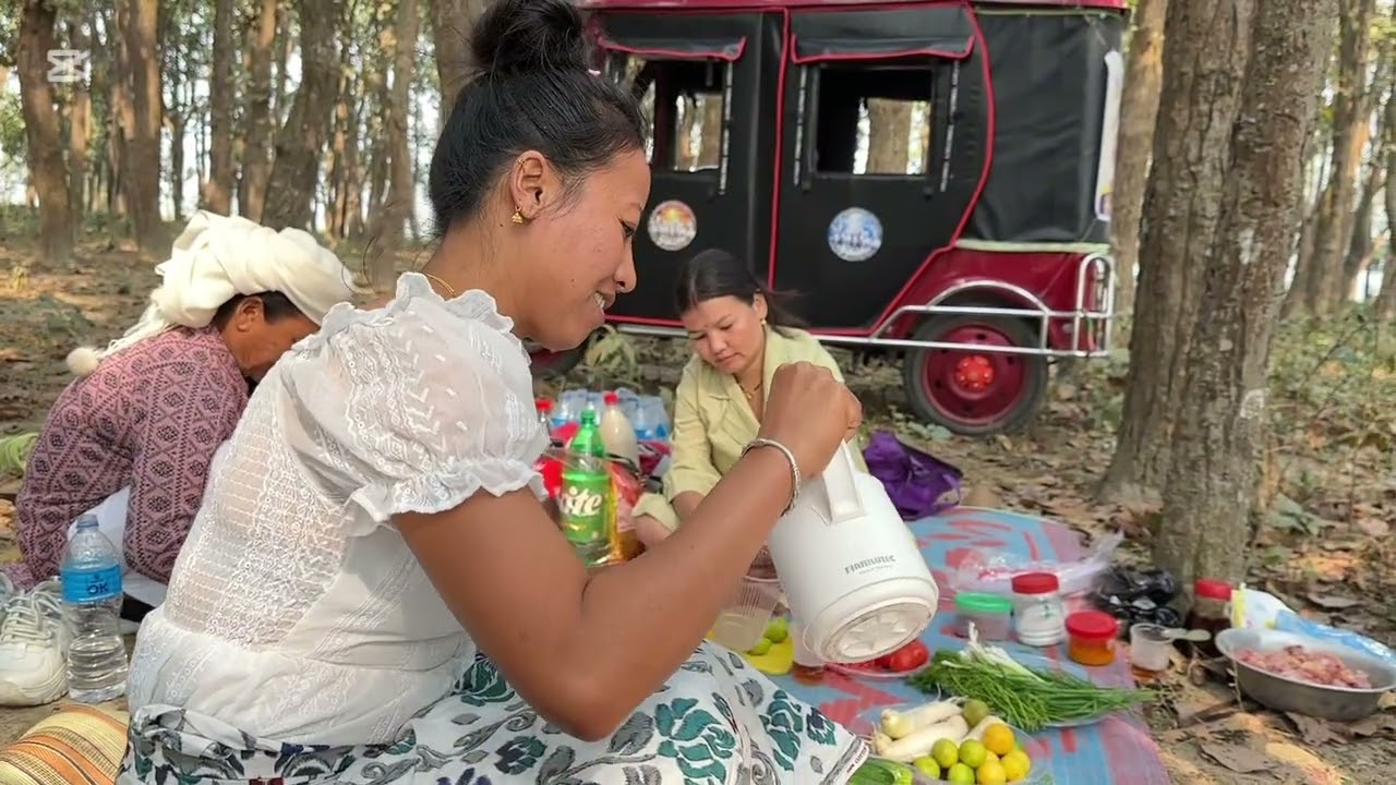 #picnic mini vlog😀jungle ma janawar dekhi sabdhan
