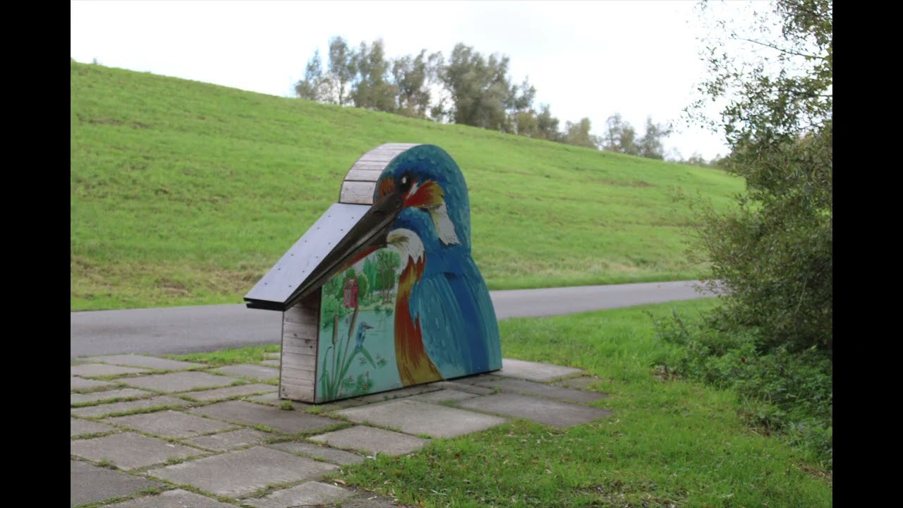 Ondek de Rupelmondse Kreek samen met Tweety & Marc, 2025