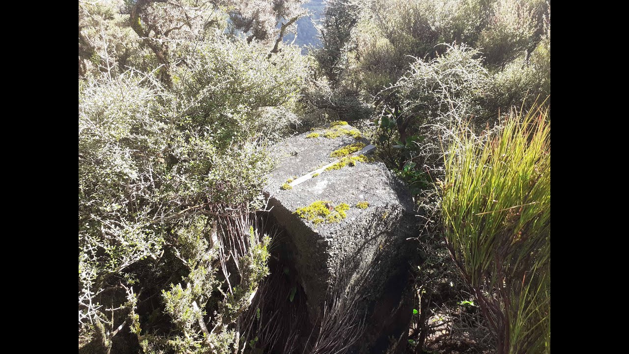 Upper Hutt: Remutakas' Forgotten Trig