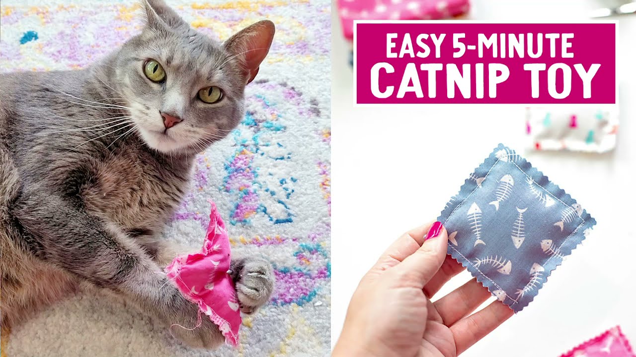 5 Minute Crafts - Easy Catnip Toy