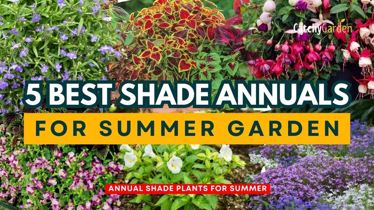 Hot and Beautiful : Discover the 5 Best Shade Annuals for Summer 🌸🌳☀️ // Gardening Ideas