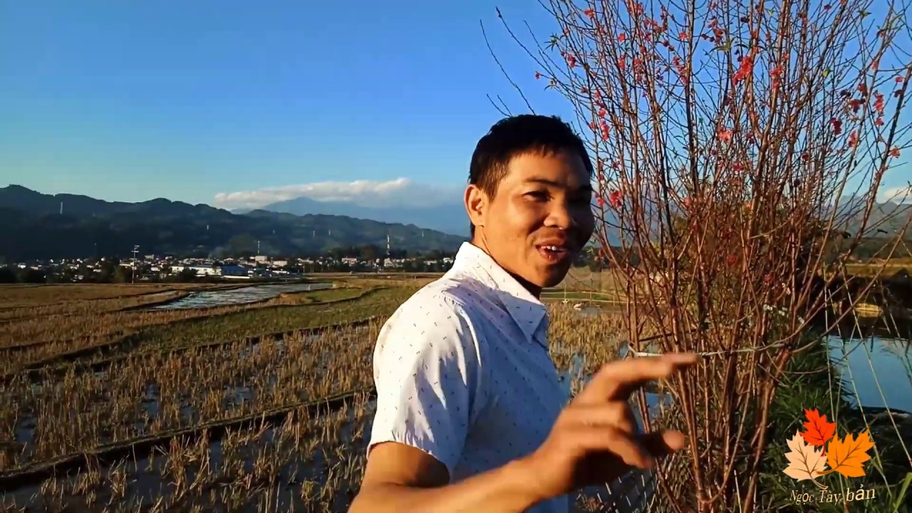 Hát Thái trắng _AI VỢ  BỎ  THÌ  KHÔNG NÊN NGHE
