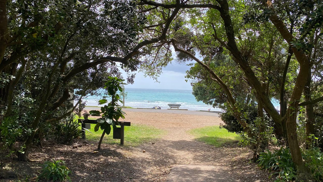 Walk to Oneroa beach Waiheke Island 🇳🇿LIVE Walking in New Zealand