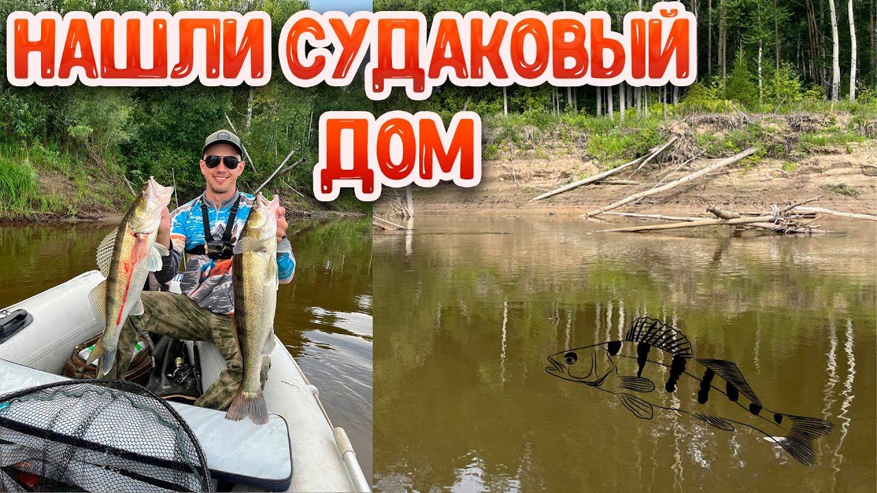 Это не коряги, а судаковый рай | Рыбалка на Чулыме 2023