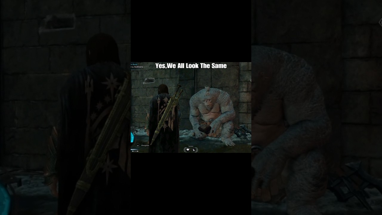 Can Ologs Tell Each Other Apart??