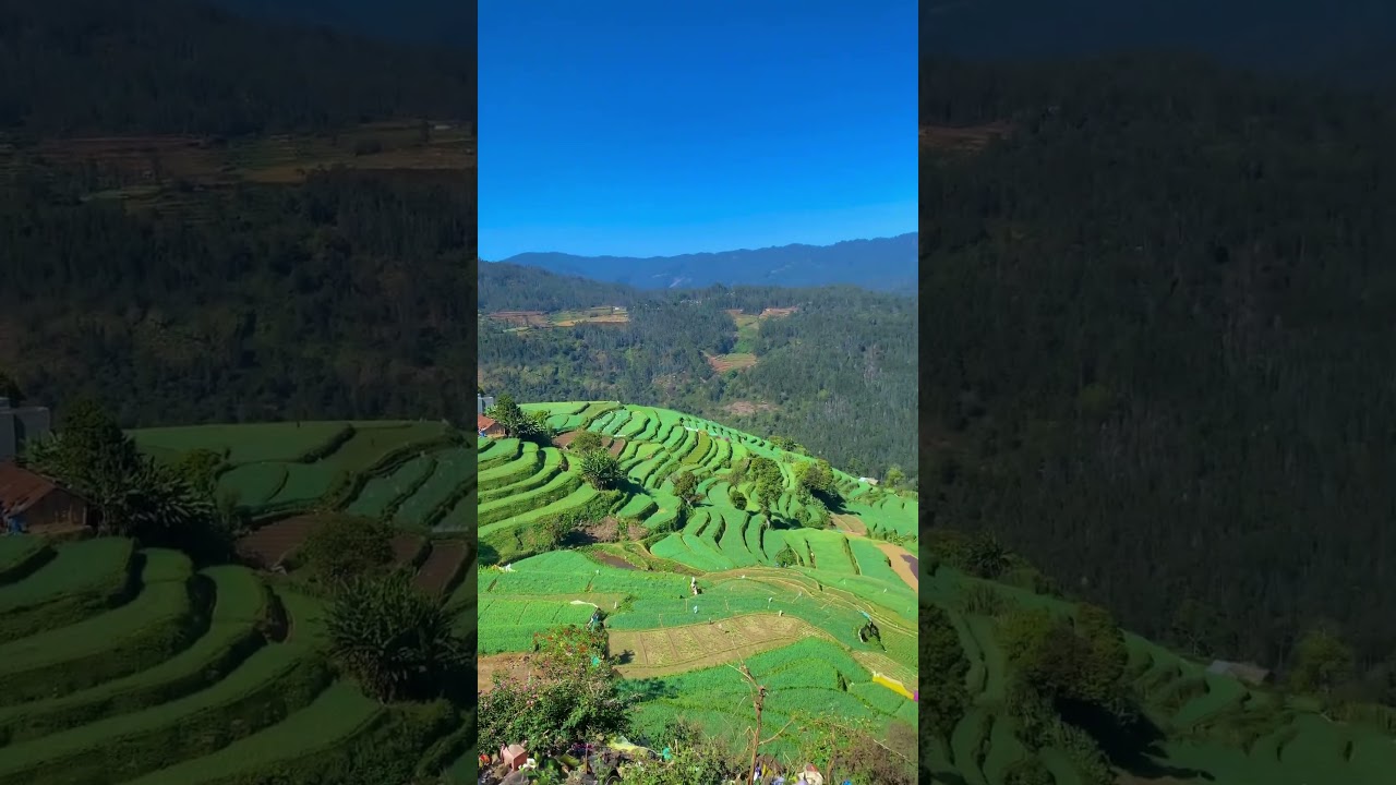 Poondi, kodaikanal                                                .   #11promax #kodaikanal #poondi