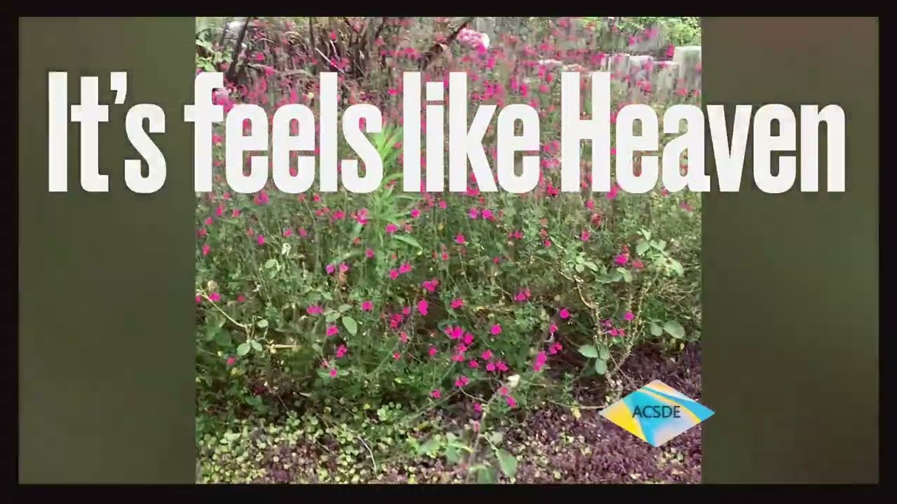 #heavenly