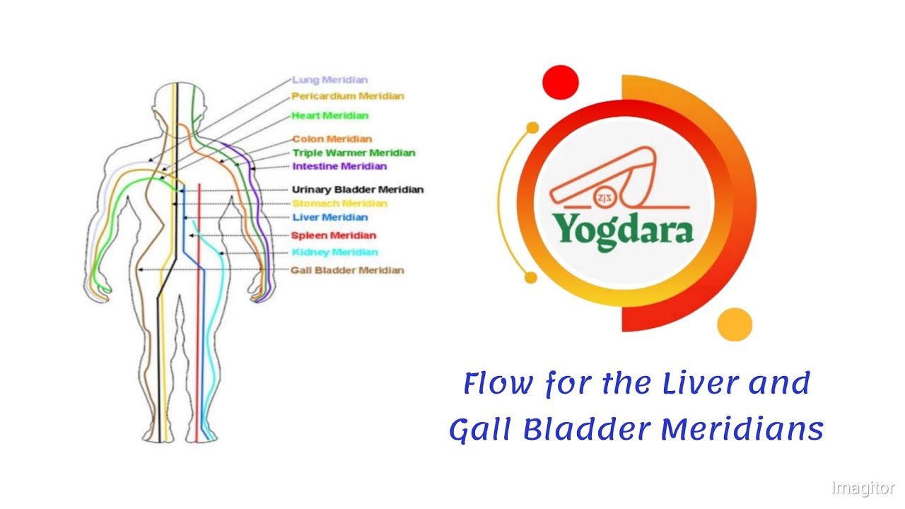 Flow for Liver and Gallbladder Meridians by Mr. Muhammad Sadiq, 27th of April, 2025