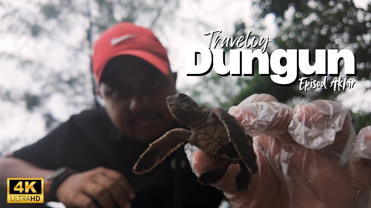 Lepas Anak Penyu di Terengganu - Penutup Paling Indah | Episod Akhir