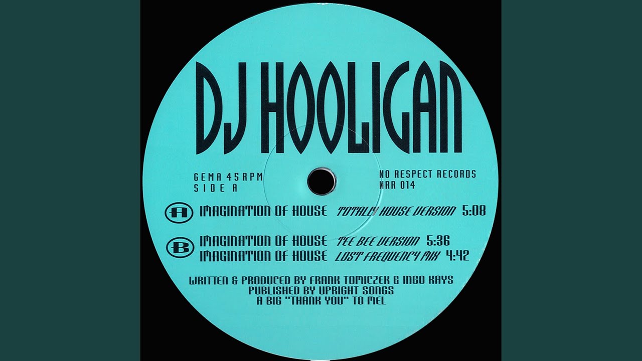Imagination of House (Lost Frequency Mix)