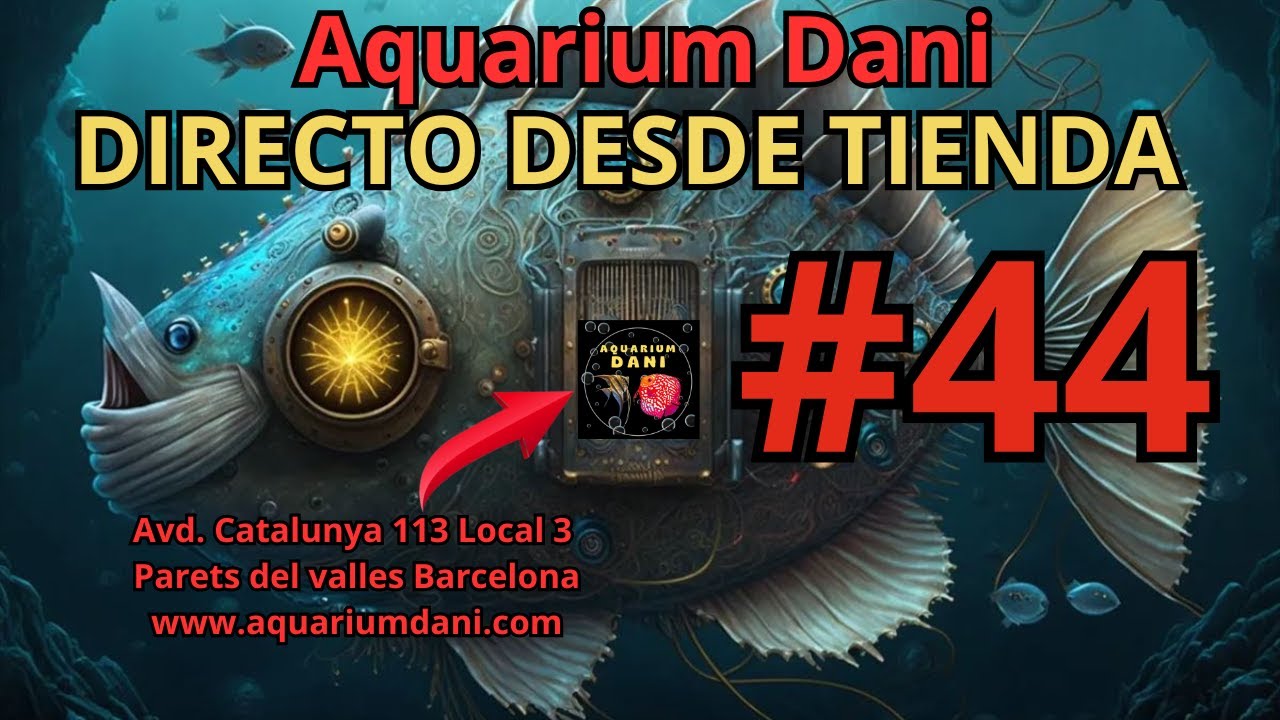 Directo #44 desde Tienda Aquarium Dani, pregunta lo que necesites.