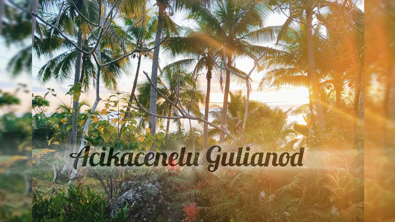 Acikacenelu GULIANOD