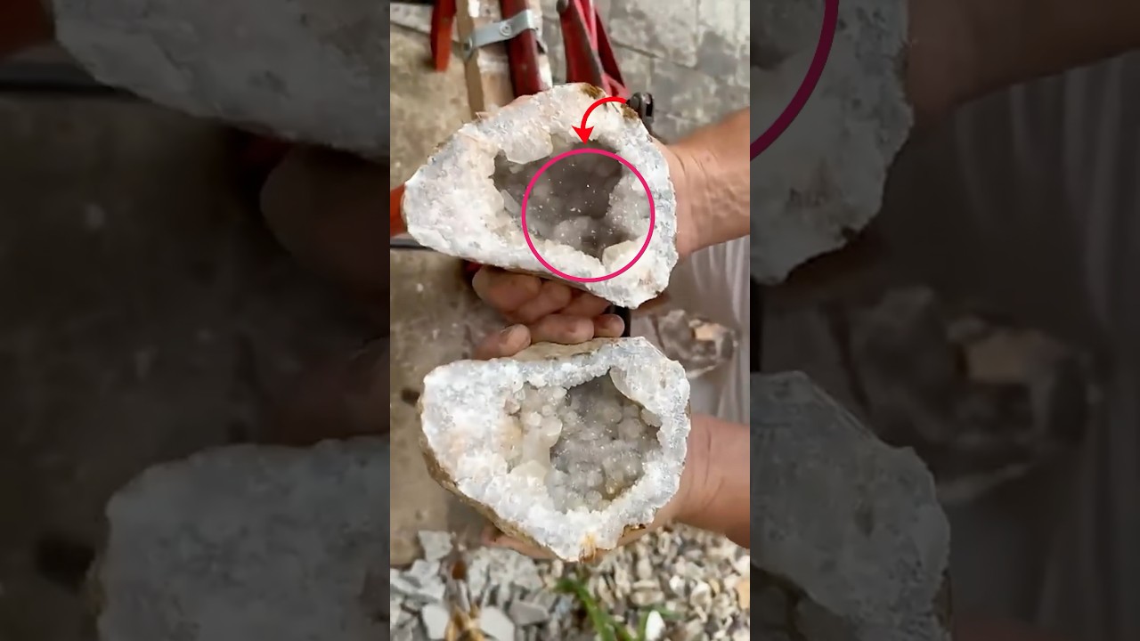 Hallazgo sorprendente dentro de estas geodas 🤩