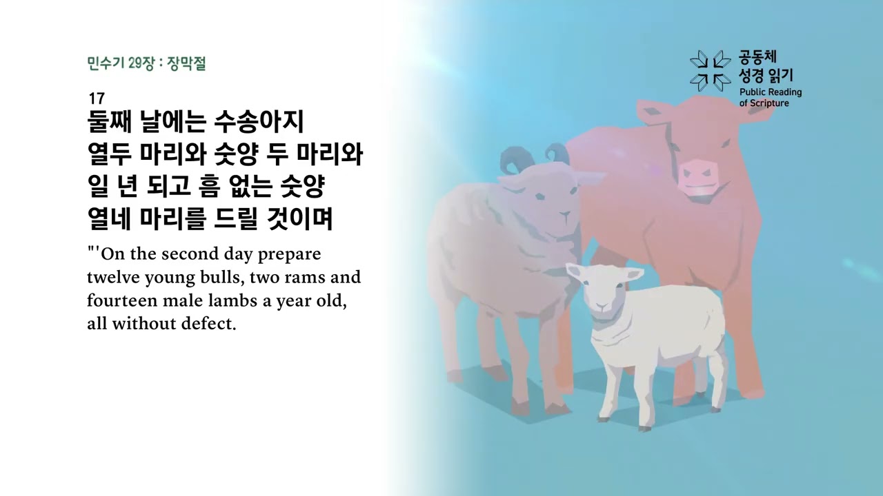 1년1독을 위한 프로젝트 38회차 민수기 28-31장