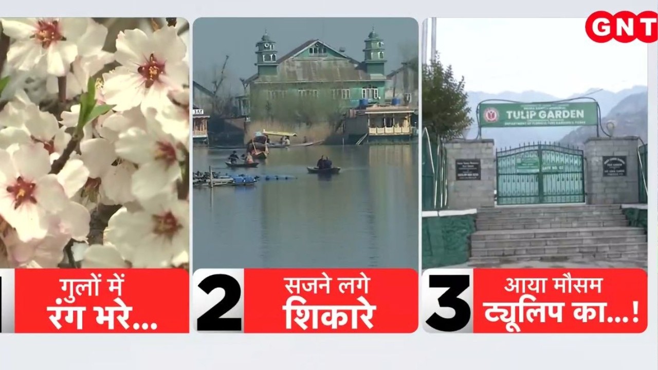 Kashmir में बसंत का जश्न, Asia का सबसे बड़ा Tulip Garden 16 March से खुलेगा, फूलों-बर्फ से खिली घाटी