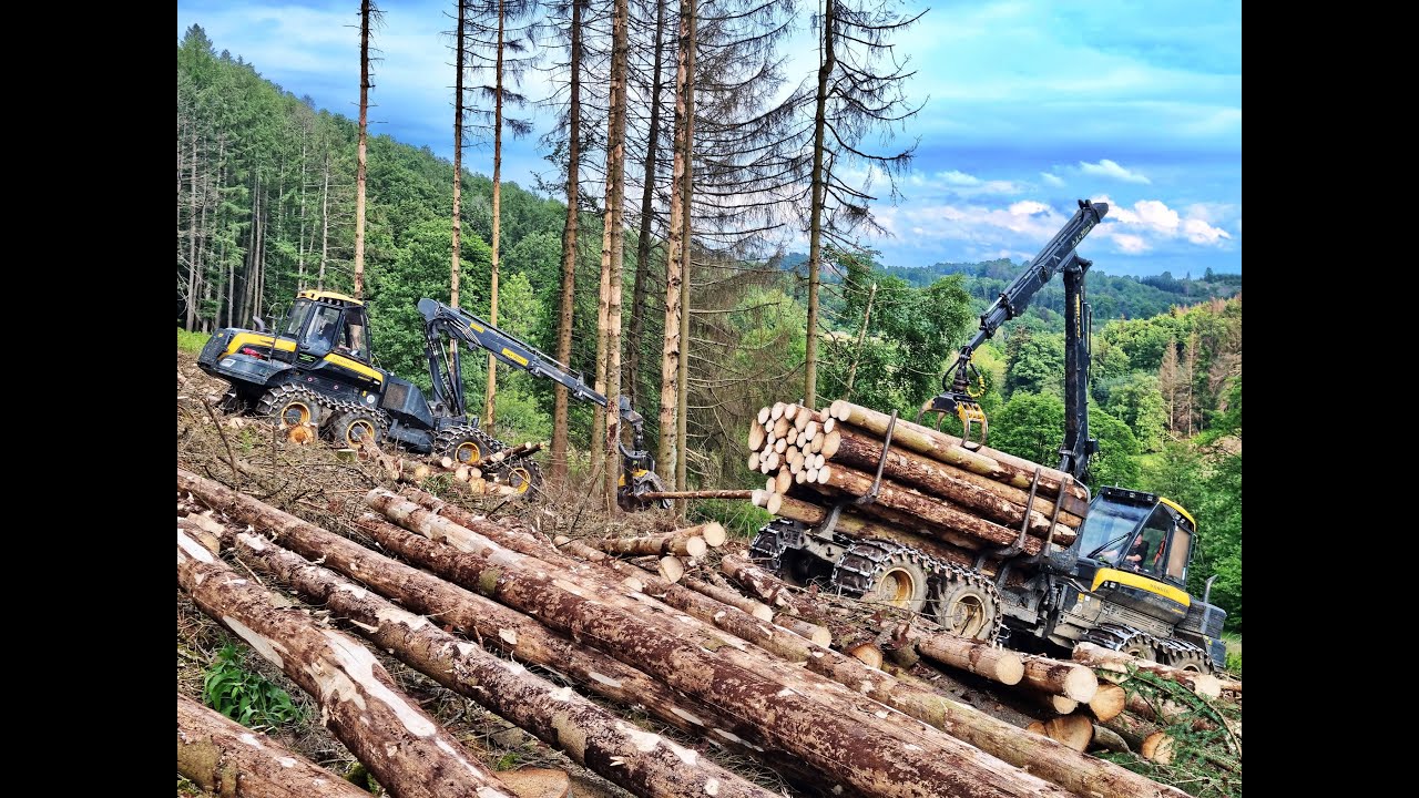 🌲*3x Ponsse* • Ponsse Bear & Buffalo & Wisent • Harvester & 2 Forwarders • LoggingAction • #2🌲