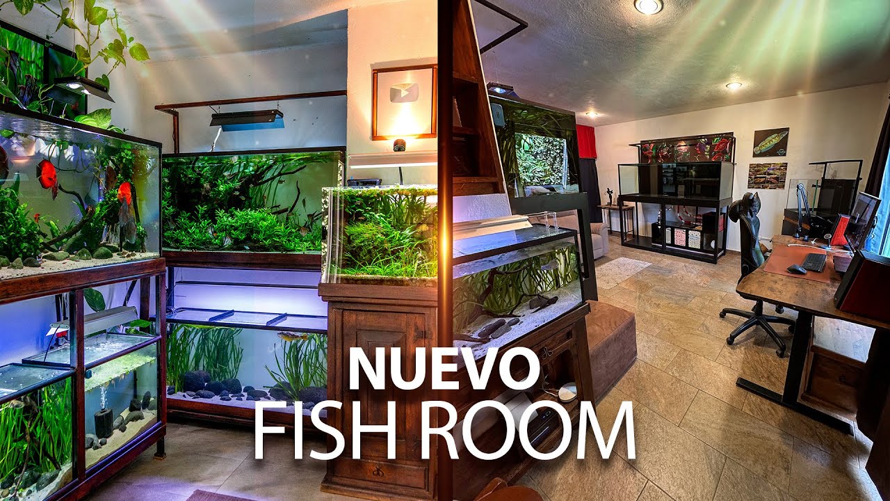 Mi Nuevo FISH ROOM: EL CAMBIO MÁS GRANDE del canal