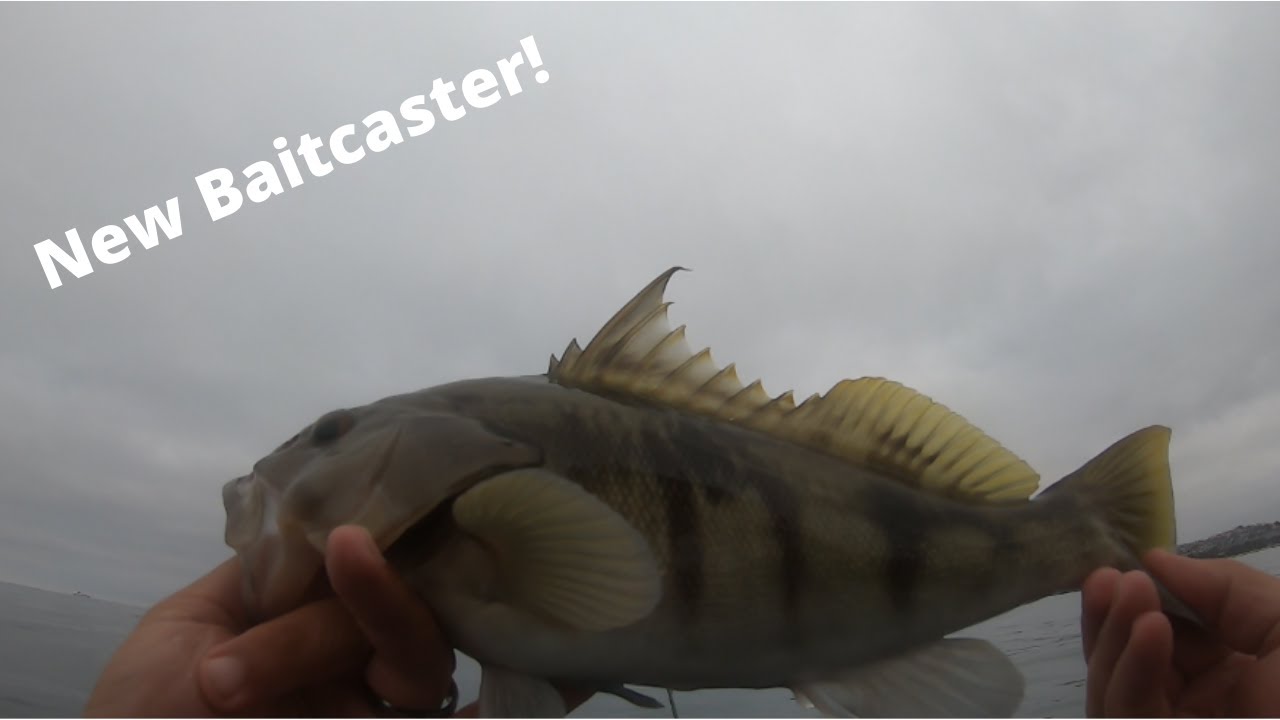 Testing Out New Piscifun Alijoz | On The Kayak